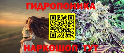 спайс Гай