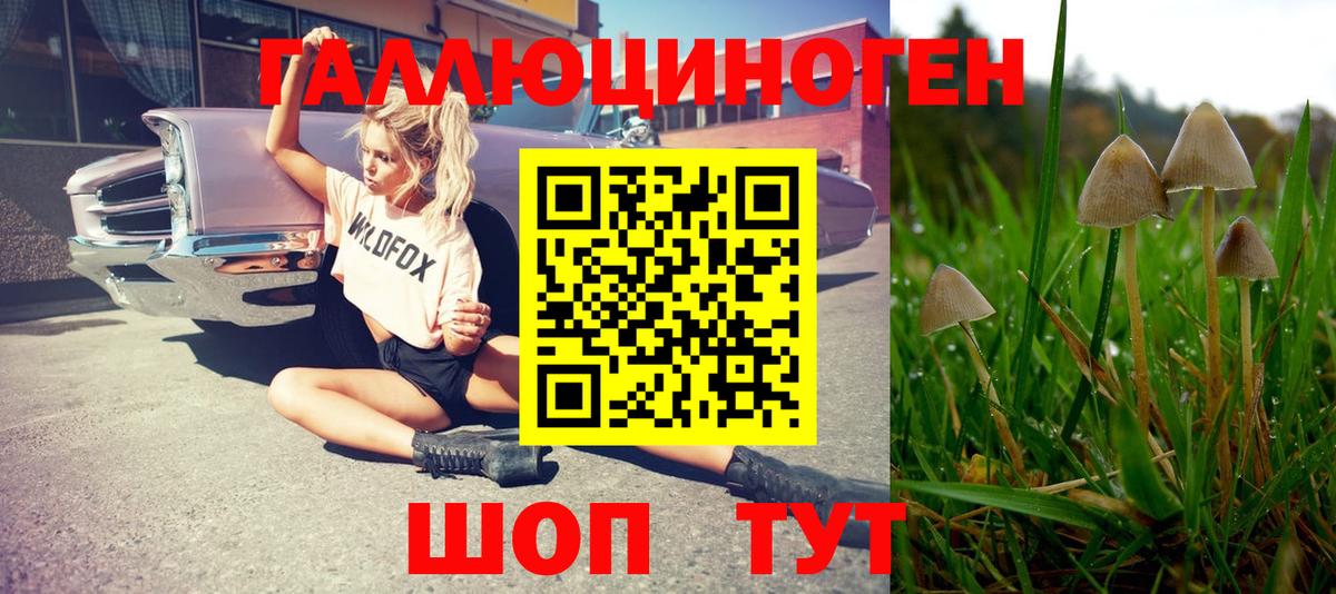 Псилоцибиновые грибы ЛСД  Вход с VPN  купить наркотики цена  Новоалтайск 