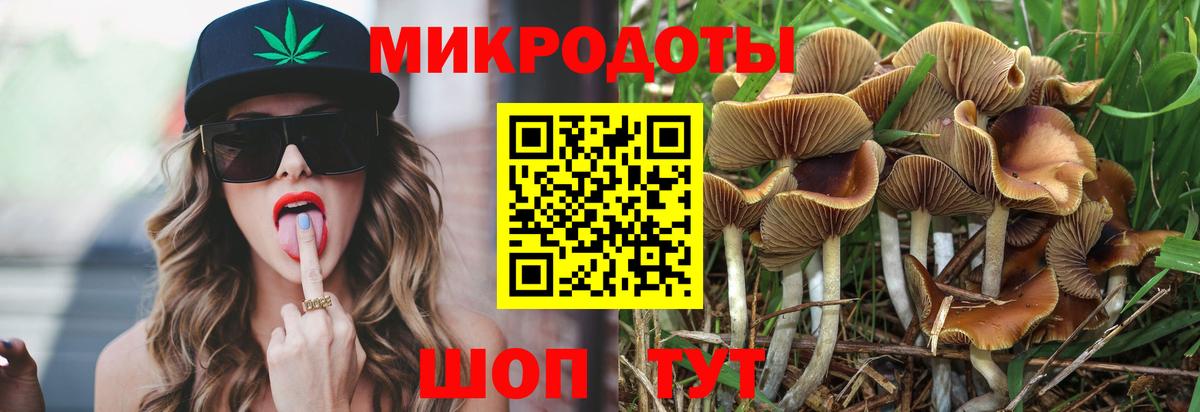 Псилоцибиновые грибы MAGIC MUSHROOMS Новоалтайск